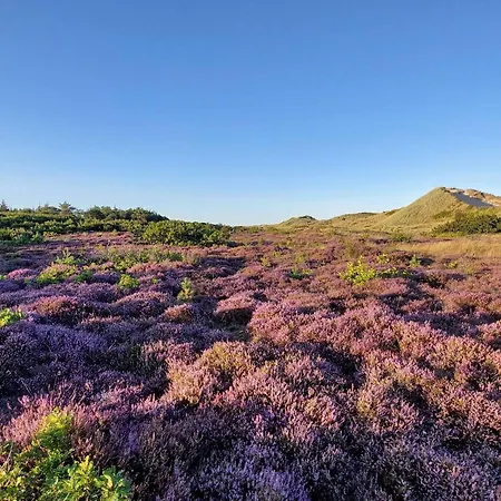 Nyaraló Seaside Escape In Ho - By Traum *